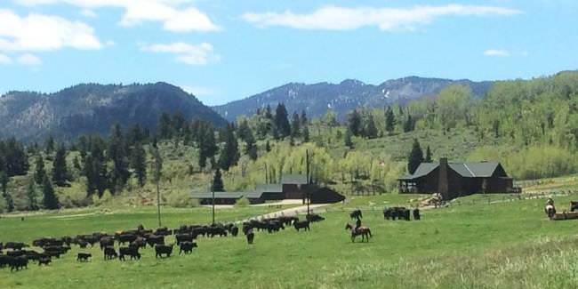 Dreaming of a weekend on the ranch? Would Wood River Ranch work for you? Luxury Western Accommodations, World Class Guided Hunts, Unrivaled Yellowstone Cutthroat Fishery, and more. Call  844-345-1036 to learn more about life on the ranch. #FindYourNextAdventure #DreamBig2016 #FinandField #Fishing #Hunting