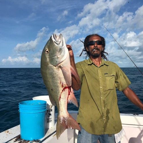 Dominic got his #MuttonSnapper with Brower Fishing Charters on the Buzz On in #Islamorada Bud N' Mary's Marina. #GoFishing #BookATrip #BuzzOn #Islamorada #FinandField #BudNMarys