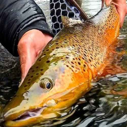 @kingpin_angler prepares to release the reward of embracing the weather. #simmsfishing #forgettheforecast