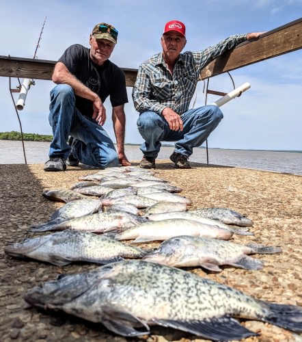 Bobby and John fishing with D&K Guide Service on Lake Eufaula. Bobby got one on a slip cork first few pitches and he said ride or die I want to slip cork the entire trip. So every one of these fish came from 6 inches to 10 inches of water. It brings back the kid in me, I think it's the absolute funnest way to catch a crappie. See y'all for day two action tomorrow. Water temp got to 64 to 65 by 2:00pm.