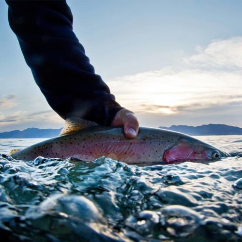 Arian Stevens Photography shows a little early morning success on Pyramid Lake. "Not a 20 pounder but not a minnow either". #simmsfishing #forgettheforecast