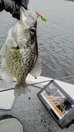 Been doing a lot of playing around with different jig or fly designs. This fly in this crappies mouth has been the one they've liked more anything else so far. I'm thinking that I like the idea of a fly because when they pick it up they don't feel any weight there for its more realistic.