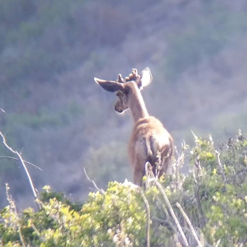 UGLY #gtoutfitters #bookcliffs #thebestinthebooks #guidelife