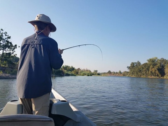 From striking Yuba Gold to hitting the Feather Jackpot, the fishing couldnt be better.

Flows are still high, but with a good amount on water flowing down our rivers it's keeping the water temps down and the fish are actively eating.

We are starting to see good numbers of early fall steelhead and the summer run is still in so you will stay busy throughout the day. A few salmon are starting to show their faces which means in a few months it will be egg bite time. With few ppl on the water you would think the fishing is slow, but its the complete opposite, don't wait to enjoy some great fishing.

Nymphing, swinging and even dries, it's happening right now.

Be the report don't believe the report.
Time to get you some and get bent.

Tight Lines 
Brian

#norcalflyguides #northerncaliforniaflyfishingguides #norcalflyfishing #featherriver #tugisthedrug #tightlines #flyfishing #catchandrelease #keepumwet #flyfishing #steelhead #findyourwater #repyourwater #proloks  ClackaCraft Drift Boats NRS Fishing Hardy Fly Fishing RIO PRODUCTS Sage Fly Fishing Simms Fishing Products Temple Fork Outfitters Pro-Loks LLC Fly Fishing Specialties Off the Hook Fly Fishing Custom Drift Marine