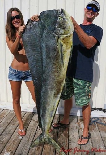 Check out the photo from Salt Life. That is a BIG BULL mahi mahi! But some people are saying its just bull... what do you think? Real or fake?

Whatever you think, there is no denying that Islamorada has world class fishing. Check out some of the options here:

http://bit.ly/2psBUj7

#Fishing | #Islamorada | #IsItReal | #Adventure | #FinAndField