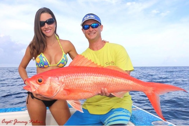 Queen snapper that Capt. Jimmy & Extreme Fishing Adventures got deep dropping in the Keys.  #Fishing #Adventure #FinandField #Extreme