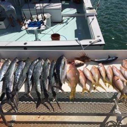 Southpaw Fishing is reporting that the grouper fishing in Key West, Florida is hot right now! With 1/2, 3/4, and full day charters for up to 6 anglers, there is something for everyone and every budget. No experience? No-problem! And these light tackle trips are great for kids too. Call them to check availability 855-382-5157!