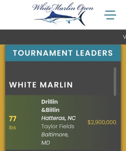 1st ever day 6 of White Marlin Open and the current 1st place marlin is worth 2.9 million. Will it hold up the next two days? #WMO #FinandField #OCMD