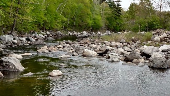 Flyfishing today was good.