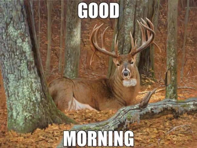 Good luck & .....
#racknine