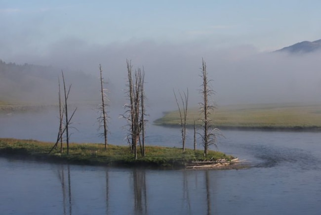 Morning has to be a favorite time for photos! The low sun lights up the valley, wildlife or view like no other time and depending on the time of year, the water temperature might be warmer than the air, resulting in low hanging fog that always adds to the shot.  Join us for a photo safari, tap https://bit.ly/34BX4Sy.