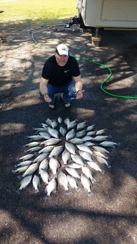 It was my pleasure fishing with Mark Taylor again today. We had a two man limit by 2:00. Crappie are still all over the place shallow and deep. From 10 inches to 10 feet deep. But that's what I like about chasing these critters. #lakeforktackle kicking butt.