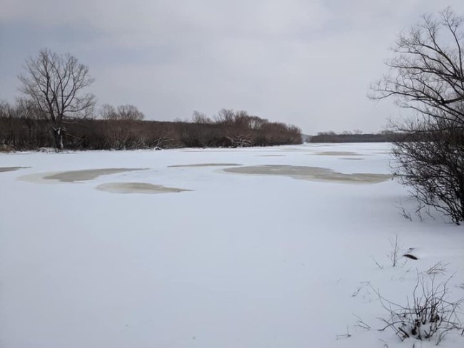 Just a FYI don't think your gonna go for a boat ride down gains creek. I hope this cold weather system will impact our high shad population issue on lake Eufaula.