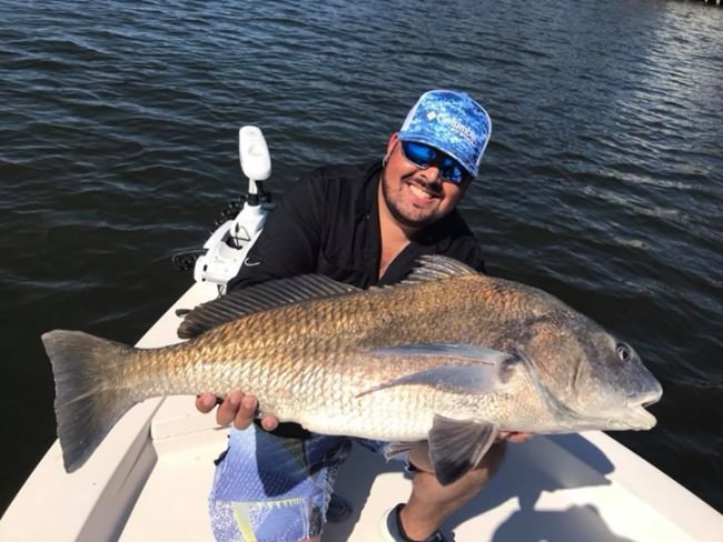 Clery with a nice drum from today! #blackdrum  #portcanaveral #slightlyobsessed #getslobbed #deepseafishing #nearshorefishing #inshorefishing #fishingcharters #flatsfishing #spacecoast #florida #mbgboats #maverickboats #pathfinderboats #fishthelegend #minnkotamotors #yeticoolers #rcioptics #powerpole