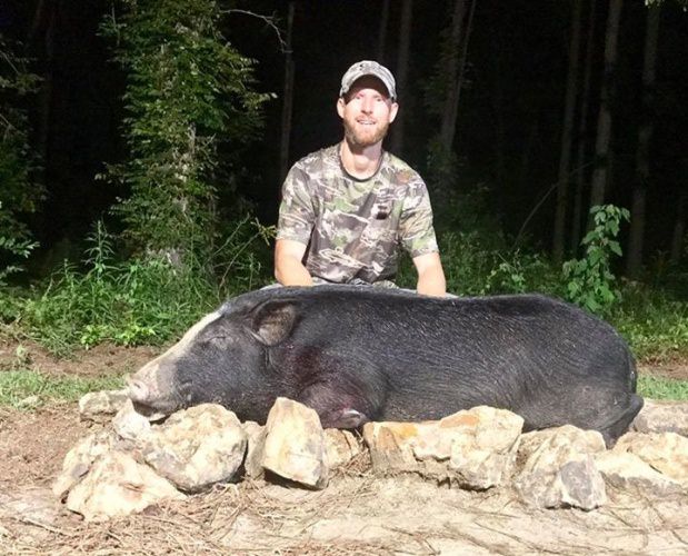 The Gainey boys are back in town!