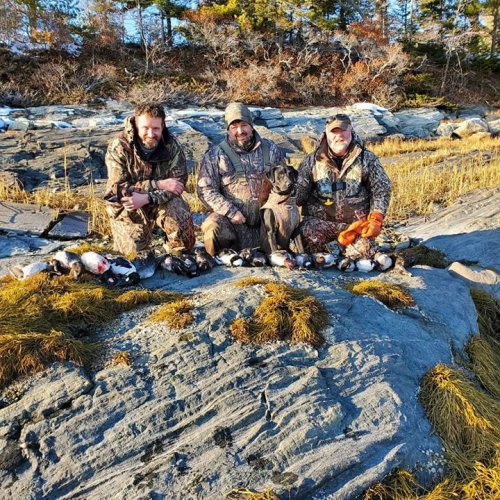 Great day out out chasing  divers with some great friends. #drakealanticflywaynorth #drakewaterfowl #drake #ducksunlimited #diverduckhunting #duckdog #diverducks #noreastergamecalls #tanglefree #goldeneye #maineguide