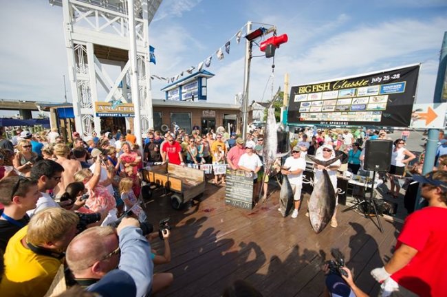 Sea Monster Alert at the Huk Big Fish Classic in Ocean City, Maryland.
Get down to Talbot Street and M.R. Ducks at 4 pm! #BFC #OCMD #SeaMonster #FinandField #HookedOnOC #BigFishClassic