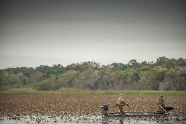 Photograph by Tim Romano