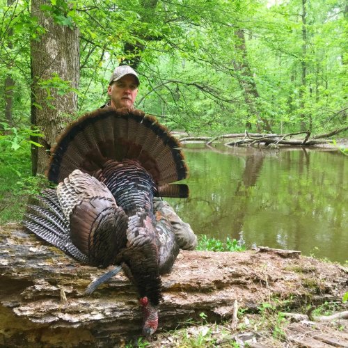 Look at the size of this bird! Great photo from The Outdoorsmen's Voice. #Hunting #Turkey #TheOutdoorsmensVoice #Adventure #FinandField
