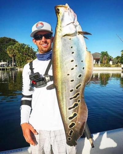 What did you catch over the weekend? Josh from BlacktipH got this awesome clownknife!

#Fishing | #BlacktipH | #Florida | #Clownknife | #Weekend | #Adventure | #FindAFishingGuide | #FinandField