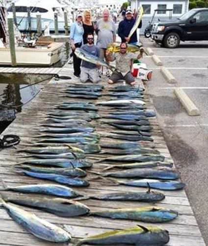 OBX has a good bite right now. Endorfin Sportfishing with Capt. Jim and mate Lee put this charter on 670 lbs of fish! Give them a call 855-576-1563 to book your fishing adventure. #BookATrip #Endorfin #PiratesCove #NC #Fishing #FinandField