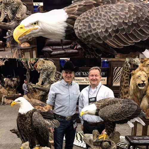 These look pretty amazing.

#Adventure | #MotherNature | #FinandField