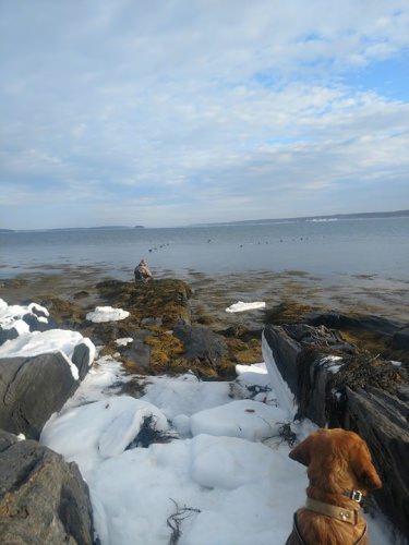 Back in the office today