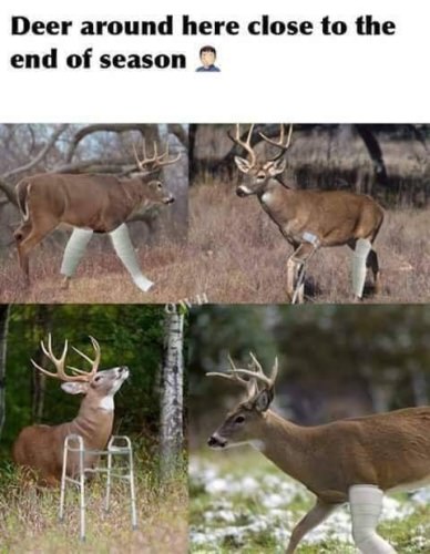 Around most of the country 😃