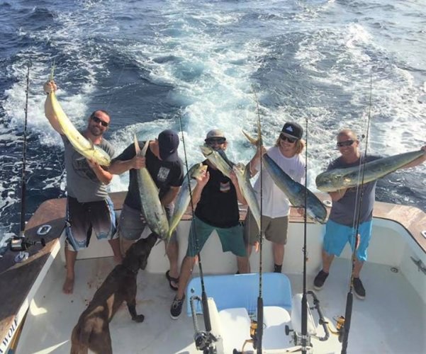 OBX fishing is picking up. Capt. Donnie and Seawolf have a few open dates. Visit Fin & Field to book your Seawolf fishing adventure. 

#OBX | #Fishing | #Seawolf | #FinandField