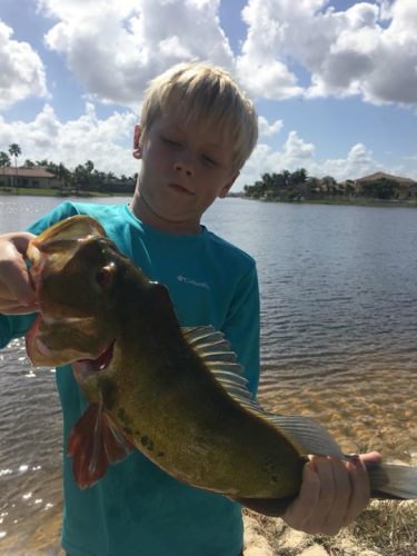 Florida Keys Fishing with Backcountry Delights (http://bit.ly/2n3N8MH) has the peacock bass dialed in!