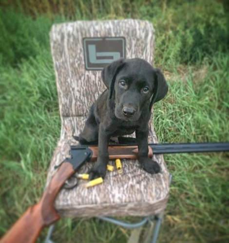 He's ready. Are you?

#Hunting | #Adventure | #MossyOak | #FinandField