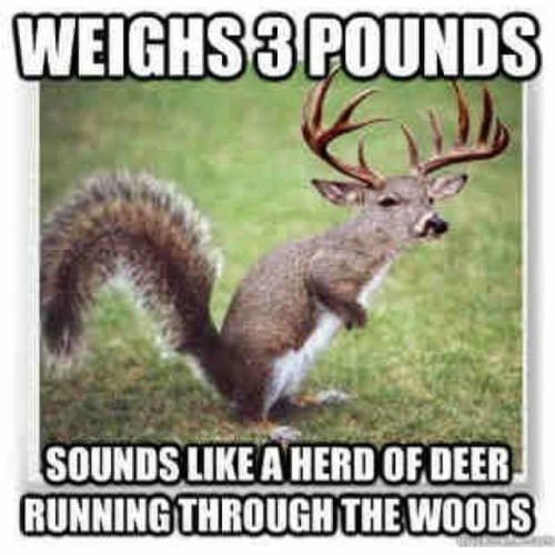 Grrrr......
#racknine