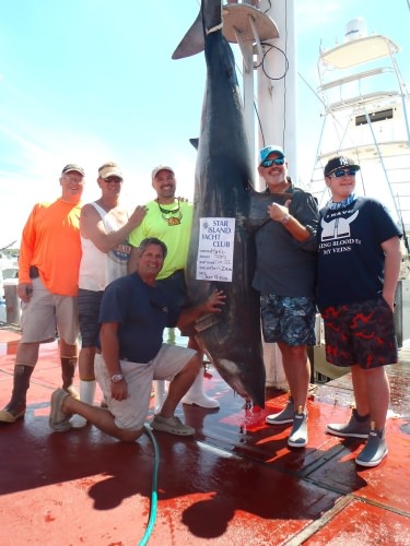 Big Mako Star Island Yacht Club! #Fishing #Shark #Adventure #FinandField