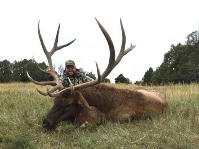 Want to hunt a trophy bull? What did this one score? Early October Elk Rifle Season Hunts Are Available! New Mexico Trophy Hunt has no hassle exclusive hunts that includes private land owner tag, state license, one on one guide, meals and lodging. Email info@finandfield.com for more details. 

#Bulls | #Elk | #NexMexico | #Trophy | #Hunting | #FinandField | #MarchMadness