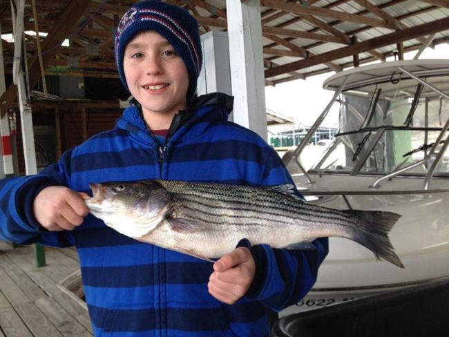Join StriperFun Guide Service on beautiful Lake Cumberland in KY!  Nice day of fishing for the Wertz group in two boats with Captains Larry and Dave.

The crown jewel is Lake Cumberland and her wonderful bounty of great eating fish.

StriperFun is headquartered at Grider Hill Resort near the dam on the south side of the lake.   Give us a call to book your fishing adventure in KY!  931-403-2501.  www.striperfun.com