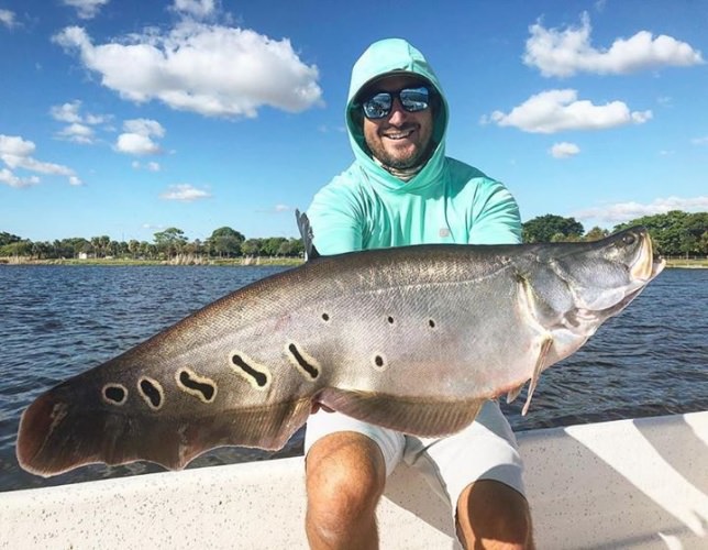 No clowning around with this monster! South Florida Bass Charters continues to bend rods. Book your #Fishing #Adventure today. #FinandField