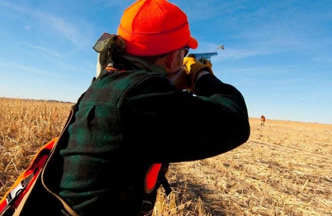 If you are aiming for a pheasant hunt, then visit Rooster Ridge Lodge Fin & Field profile page to learn more or book to a hunt.
http://bit.ly/2l1pvTs.

#Hunting | #SD | #RoosterRidge | #Pheasant | #FinandField | #USA