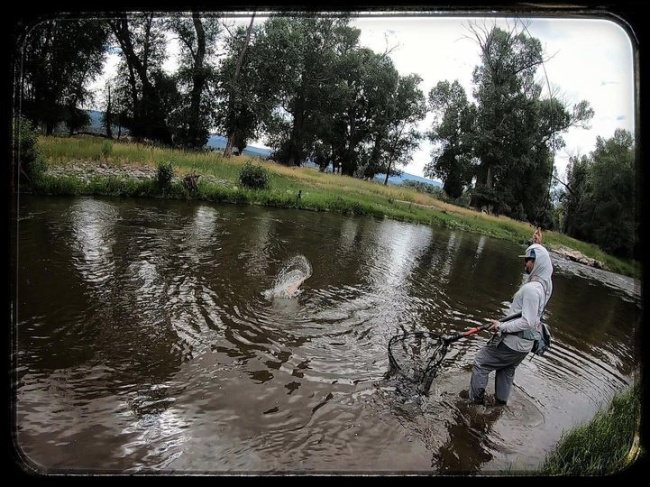 LAND OF LOCKED- A moment when bringing the boat net to wade fish is the right choice.
<•><•><•><•><•>
#flyfishing #newmexico #colorado #sendit #stoked #loeflyfishing #flyfishchama #catchandrelease #keepemwet #nature #summer #beastmode
<•><•><•><•><•>