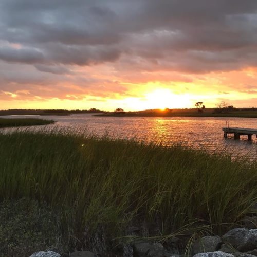 Good morning Jacksonville! #redfish#backcountry