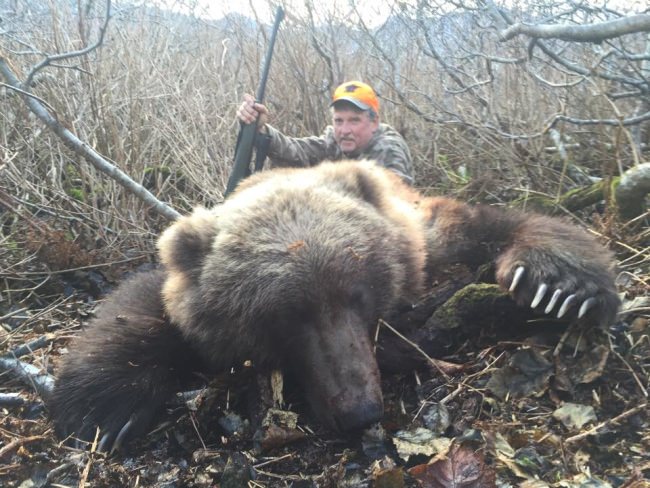That is big brown! How wide do you think his paw is? #Hunting #Alaska #Kodiak #Bear #FinandField