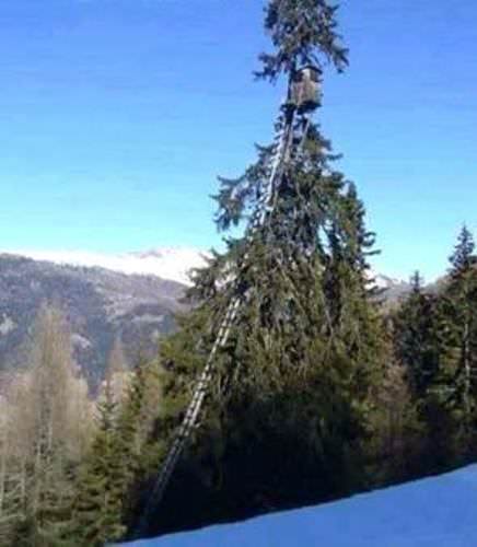 Would you use this blind? #Hunting #Adventure #FinandField