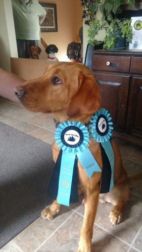 Great weekend at Guns up HRC test. Goz passed both days.