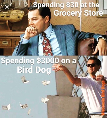 What do you splurge on? We'd recommend a Three Lakes Whitetails (http://bit.ly/2nU8KKG) trophy deer hunt!