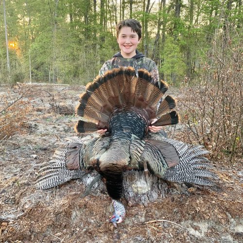 Abe killed his first turkey with us this week and enjoyed quite a show. #redblufflodge #scturkeyhunting