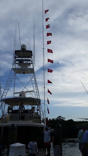 Day 2 of Jimmy Johnson's Fishing Championship is in the books. The fleet has excellent weather and good bite. Look for Day 3 totals and who will get piece of the $1,000,000 tomorrow!

#FinandField | #JJFishWeek | #BuzzOn | #Fishing | #FlyZone | #PapasPilar | #OceanReef | #KeyLargo | #Florida | #Adventure