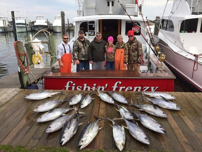 Fishing is heating up off the coast of North Carolina!

#FishinFrenzy | #Fishing | #OBX | #NorthCarolina | #FinandField