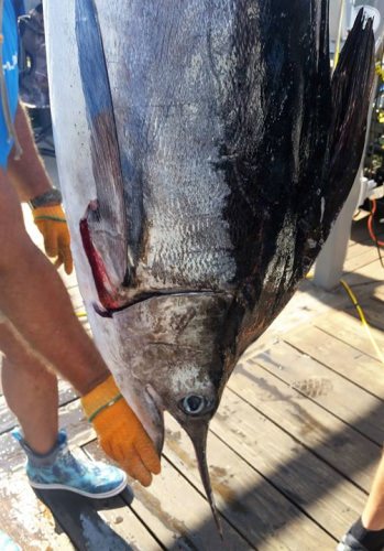 #WMO | #FinandField | #OCMD | #PapaWouldBeProud | #Adventure | #Fishing | #Titos | #VentureByAmerican | #MRDucks | #RestlessLady | #Intents | #SillyMoney | #WireNut