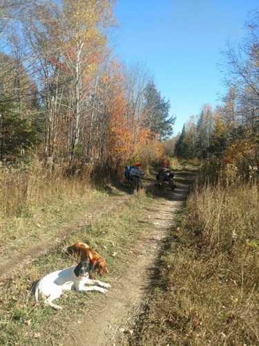 Great couple days working out of Bowlin Camps now off to Eustis for a couple days.