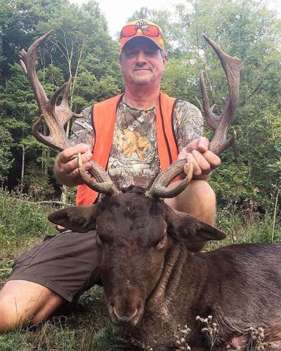 Ever wanted to hunt Fallow? Keith got a nice chocolate in #TN. #Hunting Wilderness Hunting Lodge #FinandField