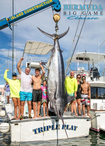 934# at Bermuda Triple Crown! Potential IGFA Junior Angler World Record Atlantic Blue Marlin for Jacob Estis. #Fishing #Adventure #FinandField